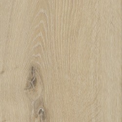Belakos Palazzo 150 dryback...