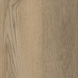 Belakos Palazzo 250 dryback...
