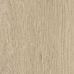 Belakos Palazzo 730 dryback...