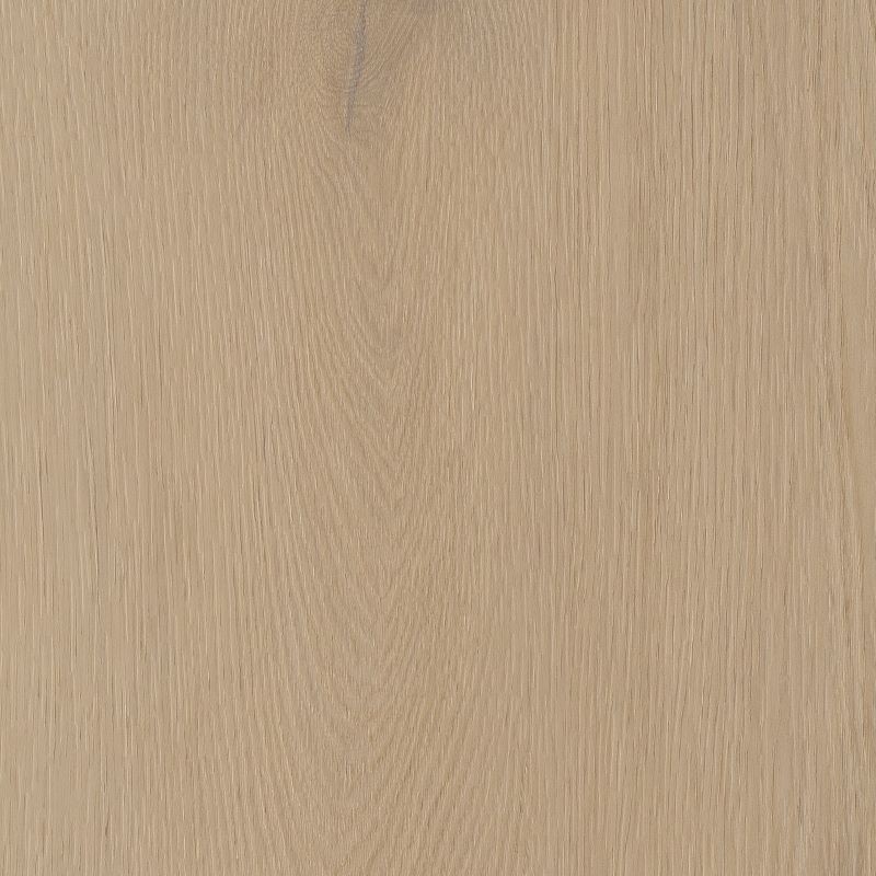 Belakos Palazzo 770 dryback pvc
