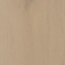 Belakos Palazzo 770 rigid...
