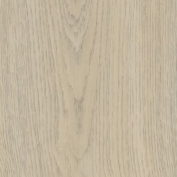 Belakos Terreno 620 rigid...