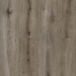 Gelasta Callisto 5105...