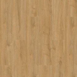 Gelasta Oakland 6101...