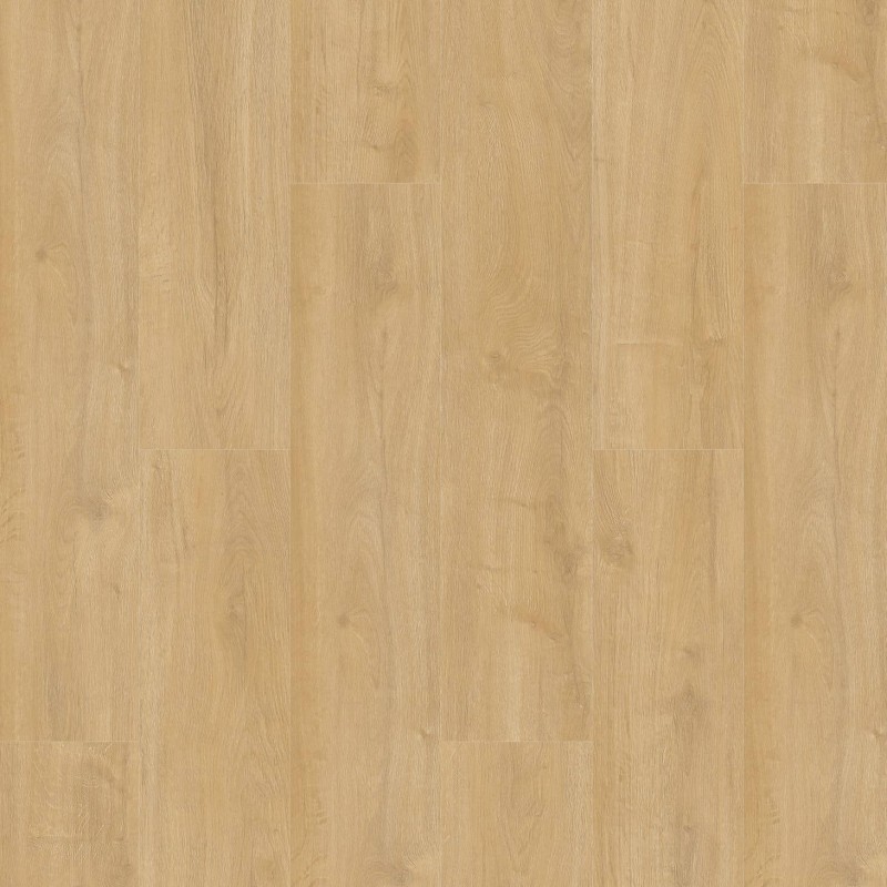 Gelasta Oakland 6102 Desert dryback pvc