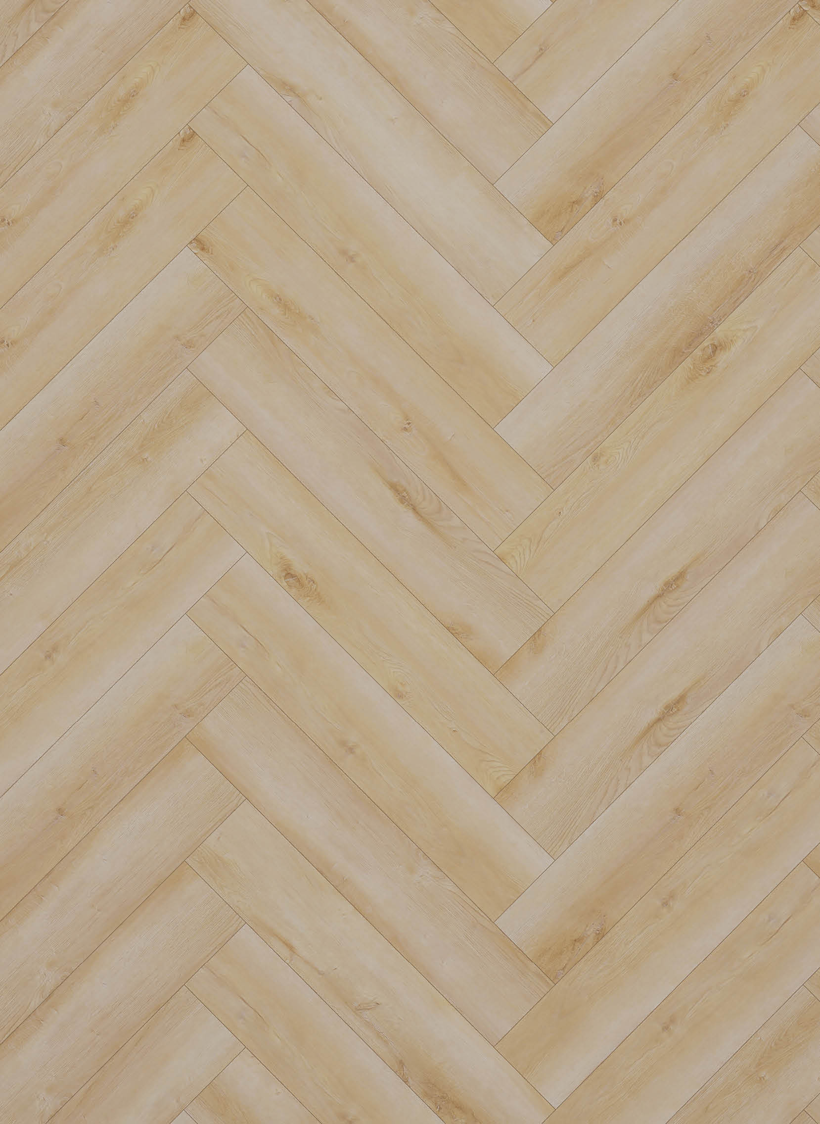 Dynamic Visgraat Natural light