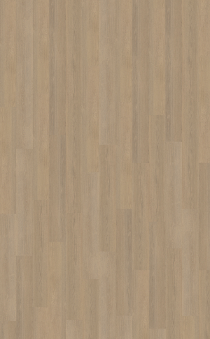 Futuro 530  Rigid Click