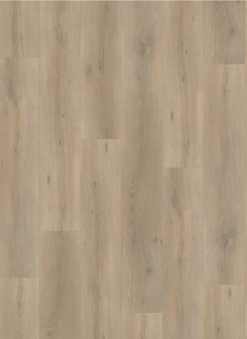 Premium Oak Beige