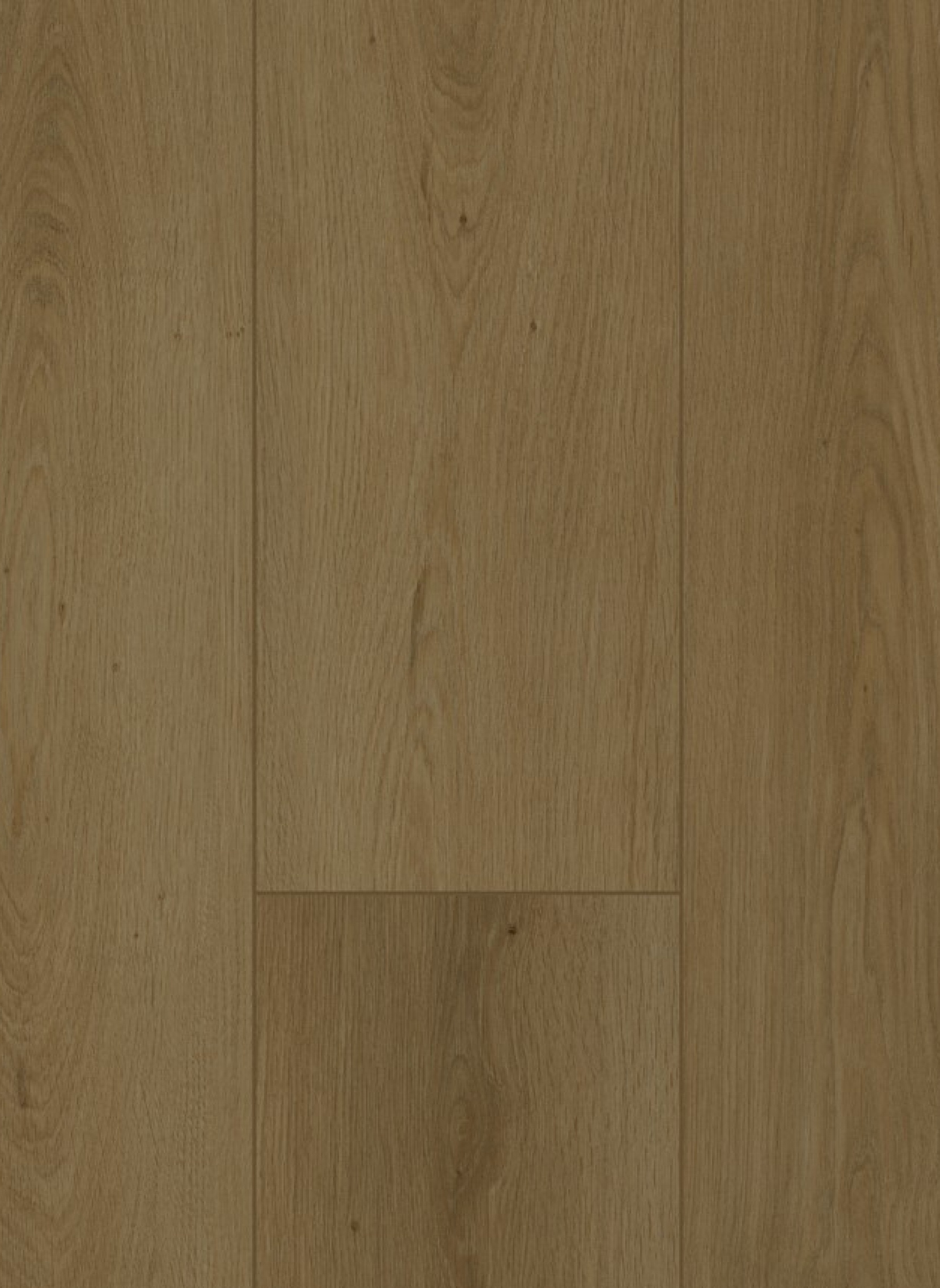 Summerfield Cinnamon